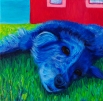 SOLD: "Blue Dog" Acrylics on Canvas 12"H x 12"W x 1.5"D