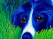 "Blue Dog in Grass" Oil on Canvas 9"H x 12"W x 1.5"D